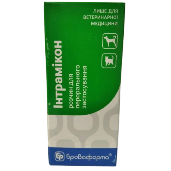 Интрамикон