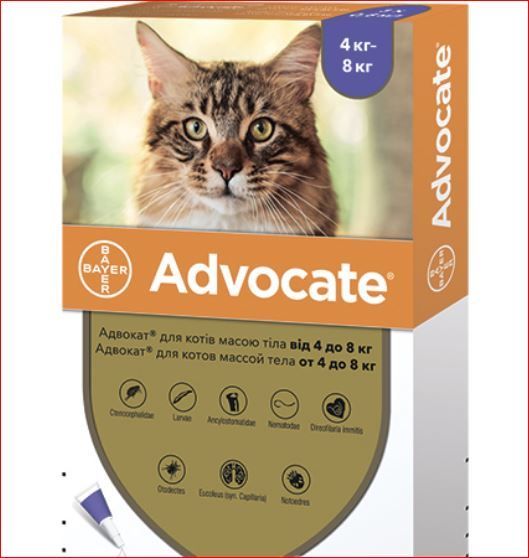 Адвокат для кошек 4-8 кг №3 Байер 
