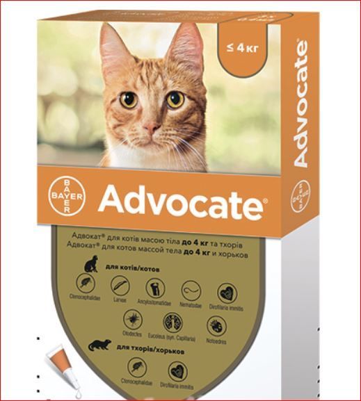Адвокат для кошек до 4 кг №3 Байер 