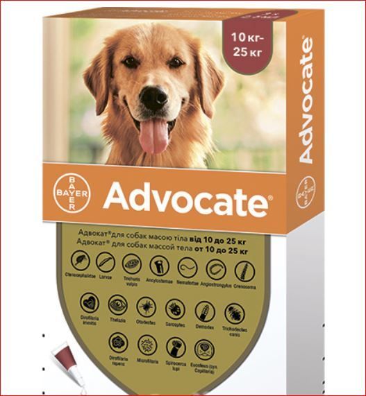 Адвокат для собак 10-25 кг №1 Байер 
