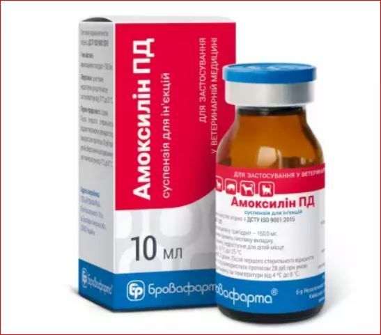Амоксициллин ПД сусп. ин 10 мл Бровафарма