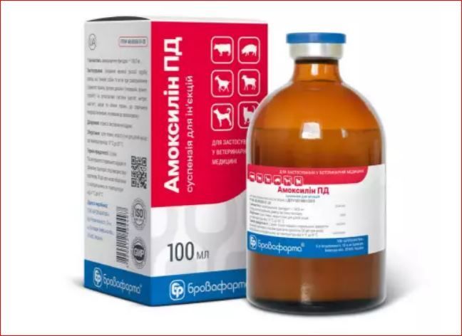 Амоксициллин ПД сусп. ин 100 мл Бровафарма