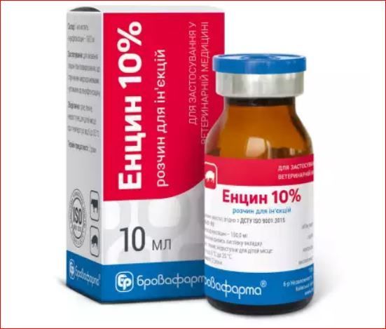 Енцин 10 % ин 10 мл Бровафарма ц