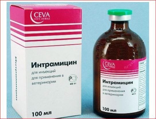 Интрамицин сусп. ин 100 мл Сева
