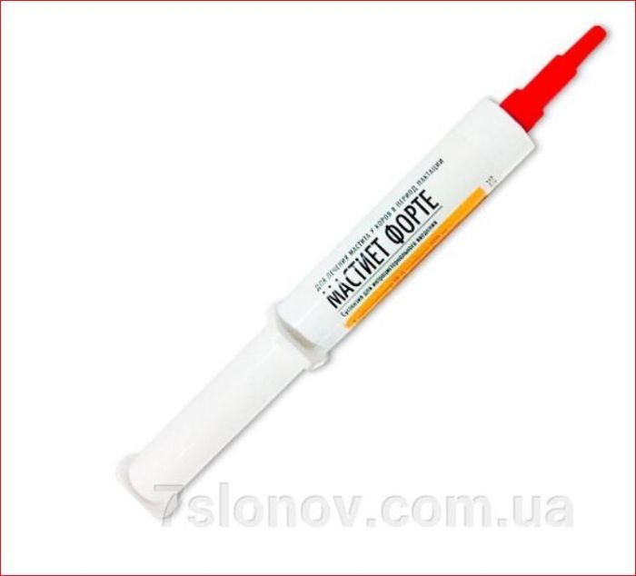 Мастиет форте  8 г шприц-туба Интервет