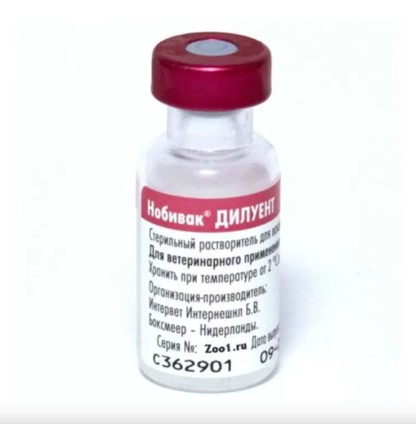 Нобивак Дилуент 1 доза\фл, разбавитель ц