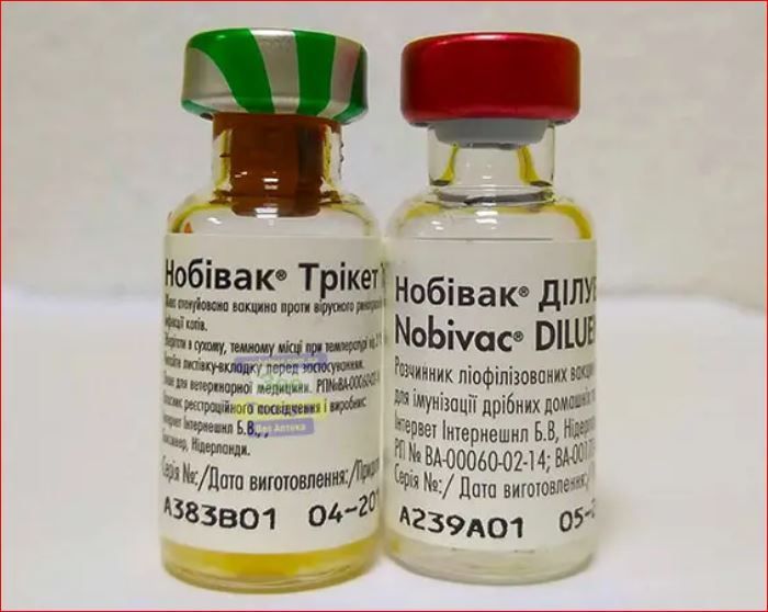 Нобивак Трикет 1 доза\фл. ц