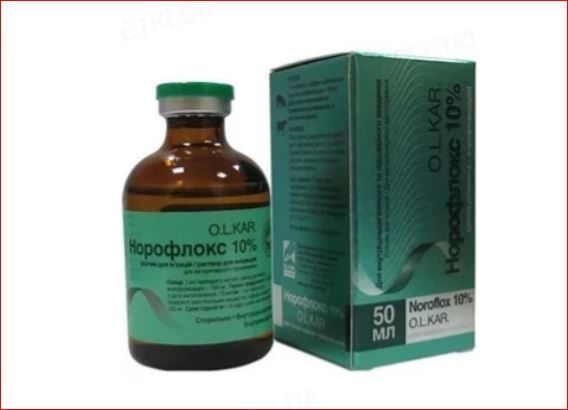 Норофлокс 10% ин. 50 мл Олкар