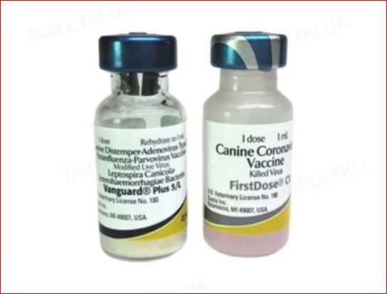 Вангард Плюс 5\CVL 1 доза\фл 